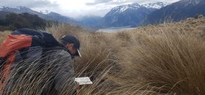 Hunting courses
