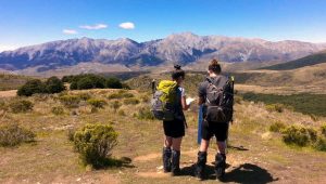 navigation training