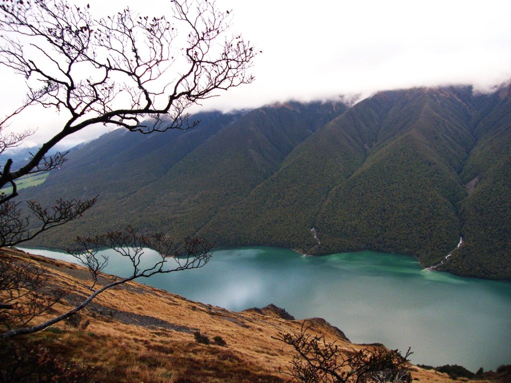 learn to hunt in New Zealand