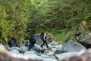 learning to hunt in New Zealand