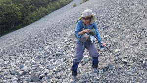 Scree training