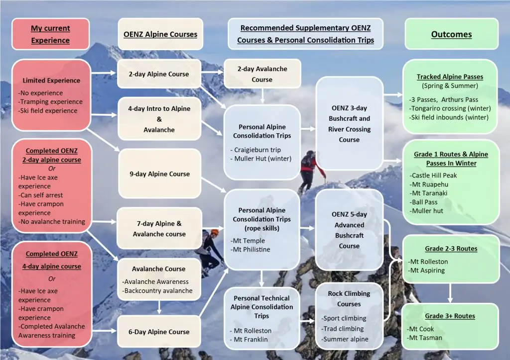 flow chart of alpine courses available in New Zealand