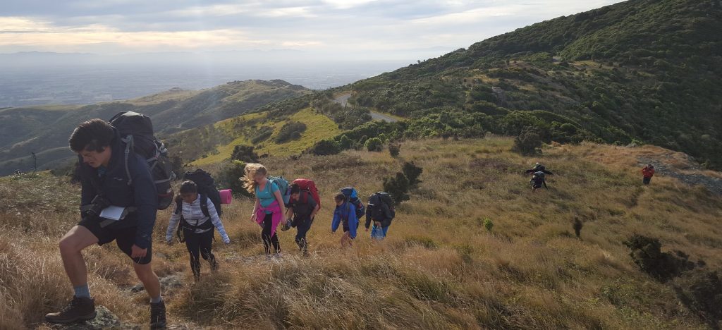 bush craft and navigation
