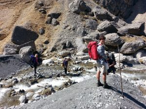 bush craft navigation and survival