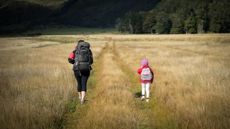 International programmes