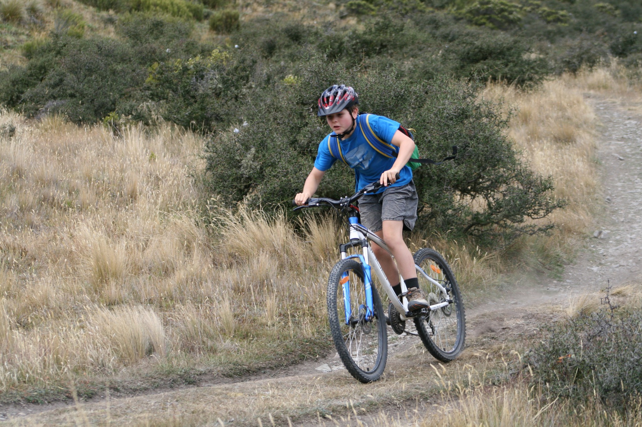 International programmes